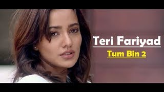 Video thumbnail of "Teri Fariyad Tum Bin 2 Lyrics Translation - Jagjit Singh - Rekha Bhardwaj"