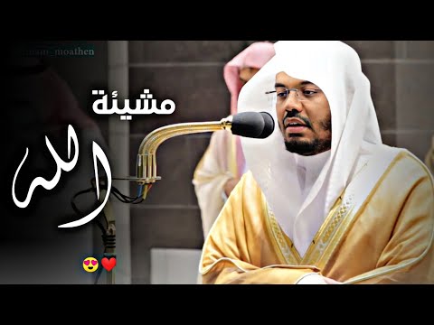 لمن شاء منكم أن يستقيم تلاوة هادئة وروحانيه للشيخ د ياسر الدوسري روائع الآسر