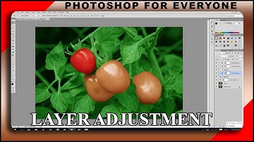 Học photoshop cs6 chỉnh sửa màu sắc hình ảnh theo lớp.