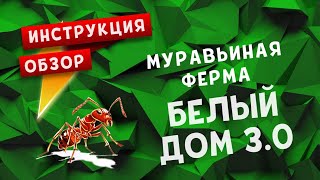 Муравьиная ферма Белый Дом 3.0 видео инструкция по сборке обзор