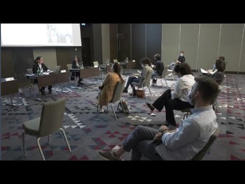 ოპოზიციის მადესკრიდიტებელი  გვერდები, ცრუ მედია და აგიტაცია  „ოცნების“ სასარგებლოდ