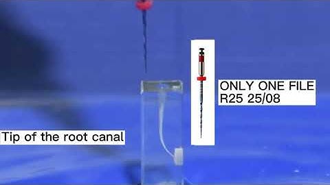dencodent.com How to use our Only One File #Reciprocating operation