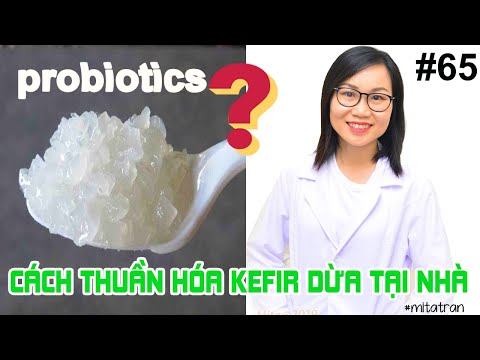 Video: Cách Làm Kefir Tại Nhà