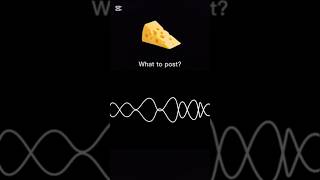 What do I post? #funny #whattopost @kotost777