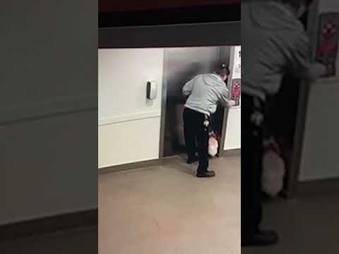 Caught on camera: Edmonton man saves dog after leash gets stuck in elevator door #shorts