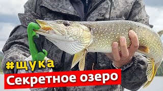 Щуки одна за одной | ЗАРЫБИЛ И ЛОВЛЮ