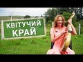 Любов Резніченко - Квітучий край