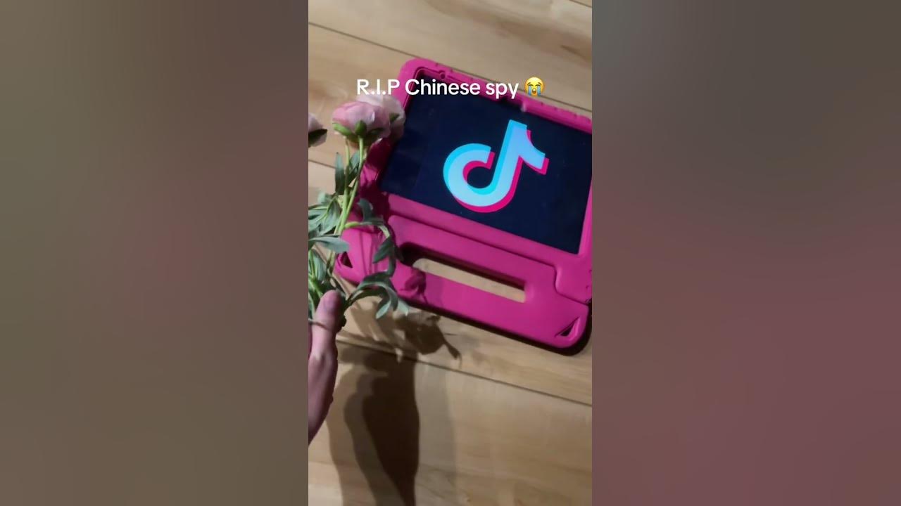 #tiktok #ban 😭#tiktokban #satire #rip #memes #funny #sad  #roblox #ipad #funeral #tiktokvideo