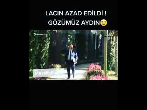 Ay Laçın Can Laçın,paşinyan prikol