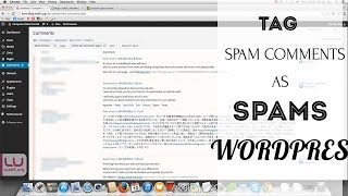 Tag Spam Comments As Spams - Akismet API Key in WordPress