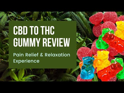 Overdid It With Sleeping Gummies Sleep Gummies Trending
