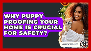 Why Puppy Proofing Your Home Is Crucial For Safety? - Obedient Dog Guide