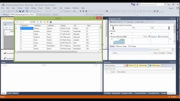 06 Visual Basic 2015 DataGridView Anchor Scale with Window In Visual Studio