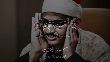 سورة التين للحفظ الشيخ محمد صديق المنشاوي 