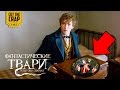 ЧТО ПОКАЗАЛИ В ТРЕЙЛЕРЕ "ФАНТАСТИЧЕСКИЕ ТВАРИ И ГДЕ ОНИ ОБИТАЮТ/FANTASTIC BEASTS"