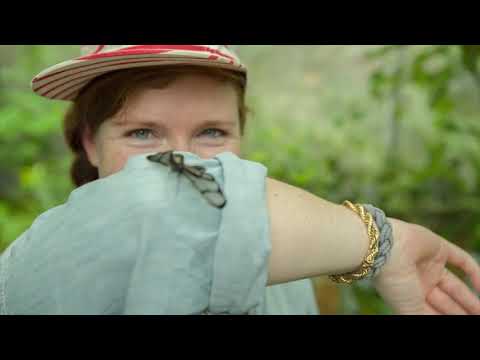 Mashpi Lodge's "Dragonfly" - Ecuador