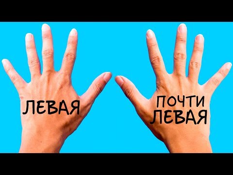 Видео: 7 признаков того, что у вас никогда раньше не было настоящего барбекю - Matador Network