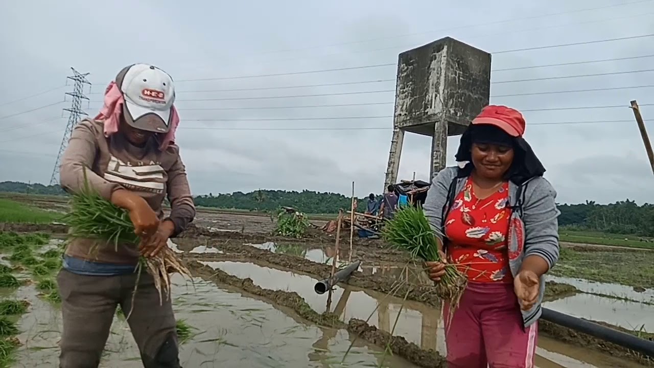 Dak Dak and Company Day 2😆😆😆 - YouTube