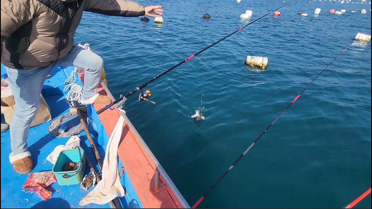 통영 오디세이호 - ODYSSEY. [ 통영 화도 앞바다 장인어른캉 처남캉 도다리 잡으러~ ] #감성돔낚시#선상낚시#도다리낚시#통영#거제#생활낚시#FishinginKorea