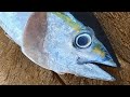 Fresh Yellowfin Tuna Fish Cutting Skills |Fish Cutting Technique