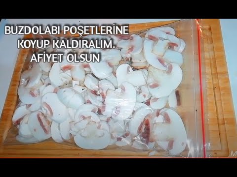 Video: Mantarlar Nasıl Dondurulur