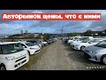 АВТОРЫНОК ЗЕЛЕНЫЙ УГОЛ 9 СЕНТЯБРЯ ЦЕНЫ ПАДАЮТ ИЛИ