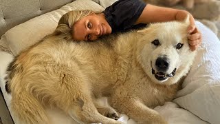 This woman adopted a dog with 'polar bear body'