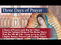 Dec 11th - 3 Days of Prayers (Dec 9 - 11) — Chaplet, Adoration, and Rosary