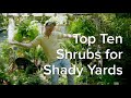 Top 10 Shrubs For Shady Yards - Let's Grow Together