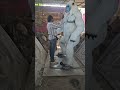 fibrr amimal#trending #trending #funny #viral