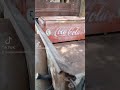 Ford truck coca cola