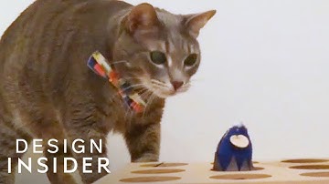 Whack-A-Mole Toy Will Entertain Your Cat For Hours