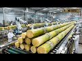 How They Harvest Sugarcane | From Farm Fields to Refined Sugar (Full Process)