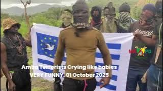 😂🤣😁 #Donga_Mantung Amba terrorists (from Bui) Celebrating IndependenG with Dane Guns