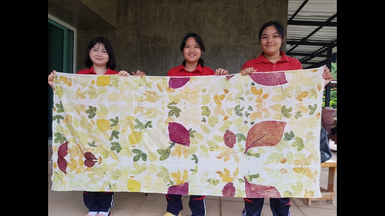 ECO Print การพิมพ์ลายผ้าด้วยใบไม้