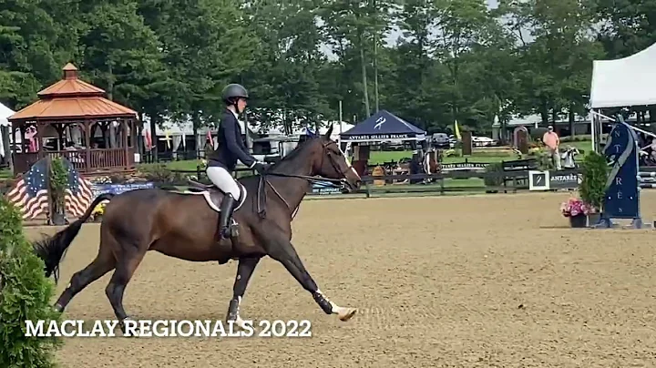 Equestrian Highlight Tape