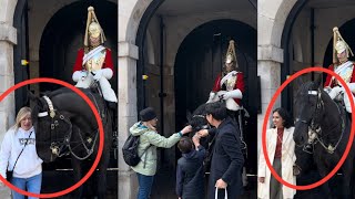 Royal Equine Bliss: The King's Guard Horse's Ultimate Head Massage! What Happened