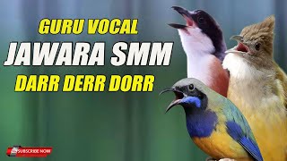 Download Lagu MASTERAN MURAI JAWARA SMM ROLL TEMBAK KASAR KESJAM BIKIN LAWAN KALANG KABUT !!! MP3 Download Lagu MASTERAN MURAI JAWARA SMM ROLL TEMBAK KASAR KESJAM BIKIN LAWAN KALANG KABUT !!! MP3