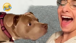 Excited Dog Reactions While Hearing Their Favourite Words