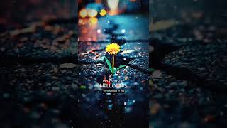 Download Lagu 너의 봄이 되리라-HELLOPING-originalsong  MP3