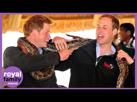 Prince William and Prince Harry's Best Brotherly Banter!