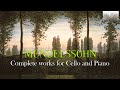 Miniature de la vidéo de la chanson Cello Concerto In E Minor, Op. 58: Variation 1: L'istesso Tempo -