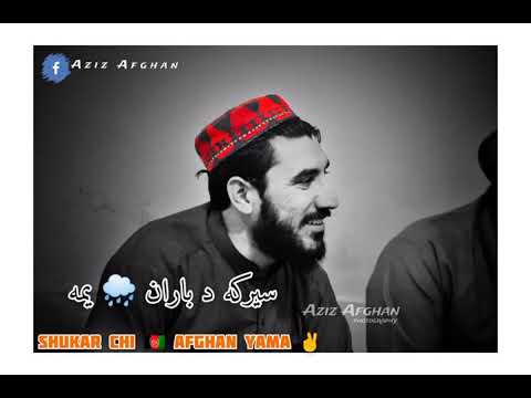 Shukar Chi Afghan Yama