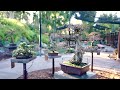 Bonsai Pavilion at the San Diego Zoo Safari Park