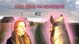 День из жизни В Конюшне | Часть 2