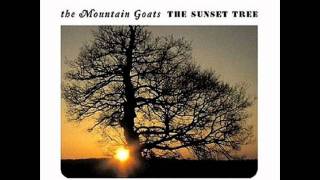 Miniatura de vídeo de "The Mountain Goats - "You or Your Memory""