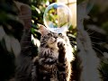 не вкусно