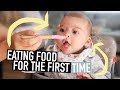 BABY TRIES FOOD FOR THE FIRST TIME