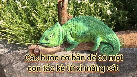 Cách đắp một con tắc kè từ xi măng và cát, phù điêu tượng con vật tuyệt đẹp, Đạt tay trái