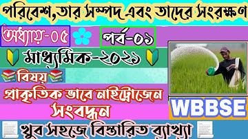(Part-1)নাইট্রোজেন চক্রের ধাপ/Stage of Nitrogen cycle/প্রাকৃতিক নাইট্রোজেন সংবন্ধন/madhyamik